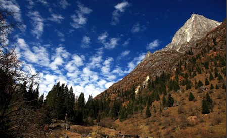 四姑娘山