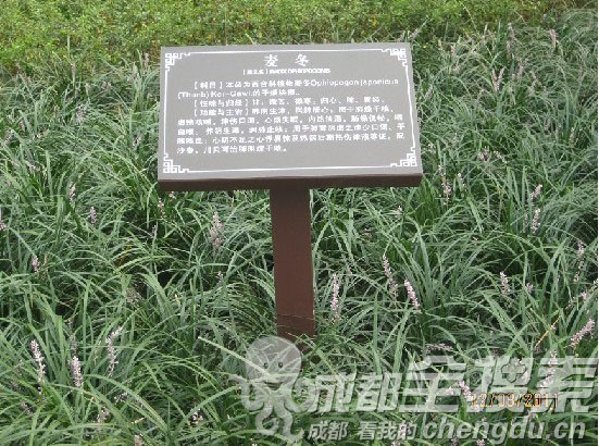 墙体广告广告
