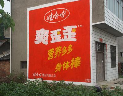 娃哈哈，2010年10月与娃哈哈公司接触，他们多次派业务人员到公司考察，对乡村刷墙广告的用料，流程，后期保障作了详细的询问与记录，2011年3月，我公司相关人员相继与娃哈哈的大区经理进行了交流，初步达成合作意向。2011年5月就刷墙广告与娃哈哈公司湖南，湖北达成了20万平方米的协议。施工周期20天 